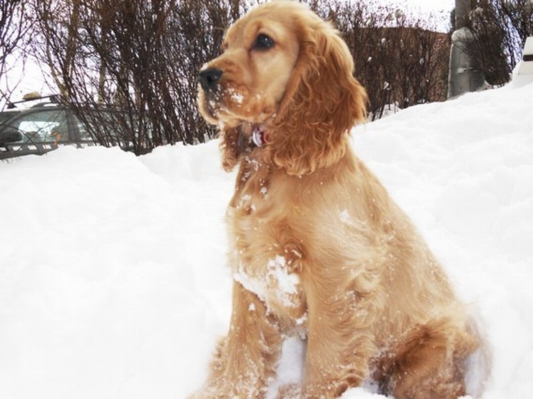 7g Anny-3.2.2010.JPG